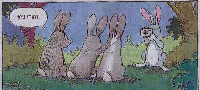 Bonne séance photo .....